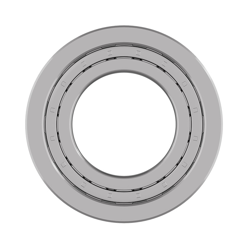 Vòng bi 6360